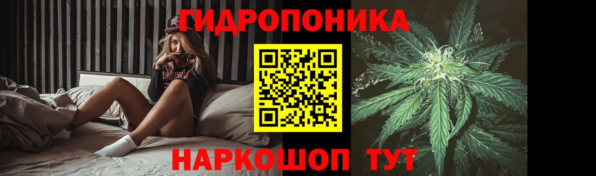 Бошки марихуана Ganja Сосновый Бор